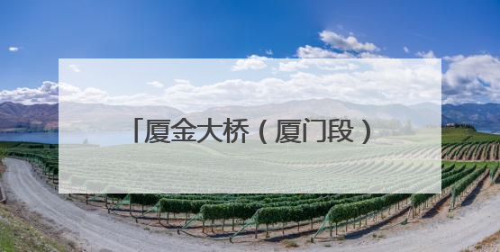 厦金大桥（厦门段）“厦金号”盾构机始发 福建省最大直径盾构隧道正式掘进