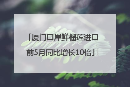 厦门口岸鲜榴莲进口 前5月同比增长10倍