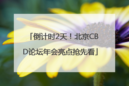 倒计时2天！北京CBD论坛年会亮点抢先看