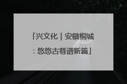 兴文化｜安徽桐城：悠悠古巷谱新篇