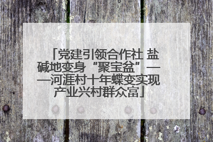 党建引领合作社 盐碱地变身“聚宝盆”——河涯村十年蝶变实现产业兴村群众富