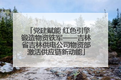 党建赋能 红色引擎锻造物资铁军——吉林省吉林供电公司物资部激活供应链新动能