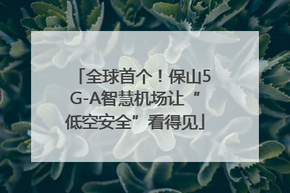 全球首个！保山5G-A智慧机场让“低空安全”看得见