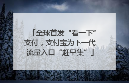 全球首发“看一下”支付，支付宝为下一代流量入口“赶早集”