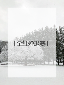 全红婵退赛