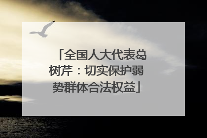 全国人大代表葛树芹：切实保护弱势群体合法权益