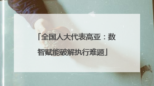 全国人大代表高亚：数智赋能破解执行难题