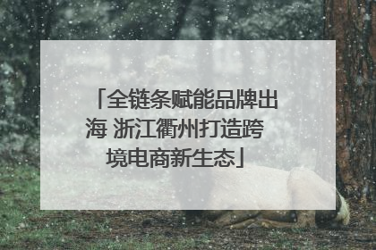 全链条赋能品牌出海 浙江衢州打造跨境电商新生态