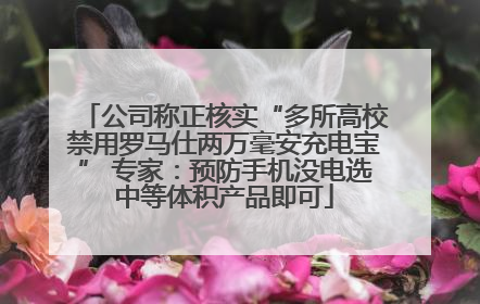 公司称正核实“多所高校禁用罗马仕两万毫安充电宝” 专家：预防手机没电选中等体积产品即可