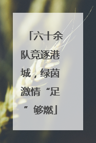 六十余队竞逐港城，绿茵激情“足”够燃