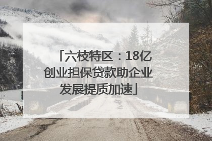 六枝特区：18亿创业担保贷款助企业发展提质加速