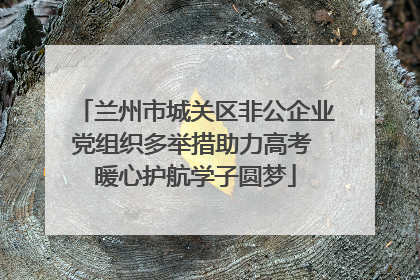 兰州市城关区非公企业党组织多举措助力高考 暖心护航学子圆梦