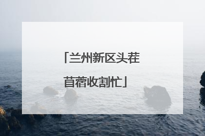 兰州新区头茬苜蓿收割忙