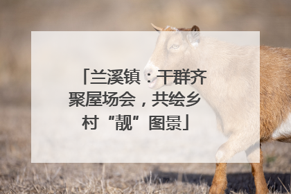 兰溪镇：干群齐聚屋场会，共绘乡村“靓”图景