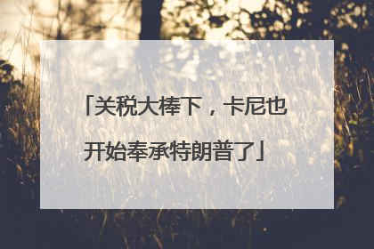 关税大棒下，卡尼也开始奉承特朗普了