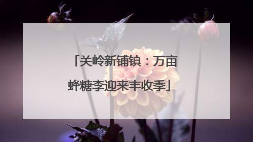 关岭新铺镇：万亩蜂糖李迎来丰收季