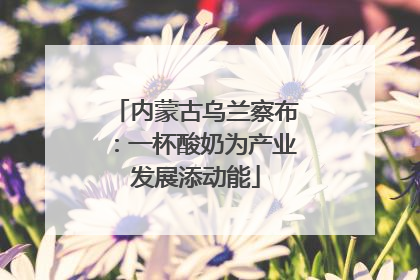 内蒙古乌兰察布：一杯酸奶为产业发展添动能