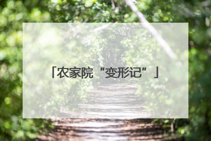 农家院“变形记”