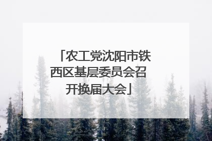 农工党沈阳市铁西区基层委员会召开换届大会