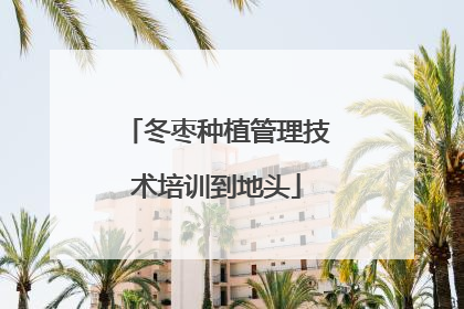 冬枣种植管理技术培训到地头