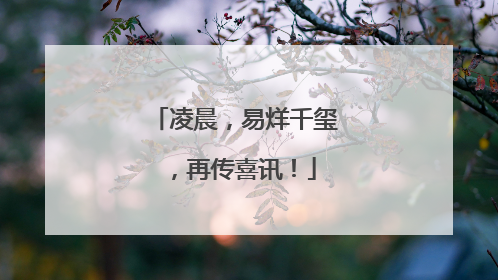 凌晨，易烊千玺，再传喜讯！