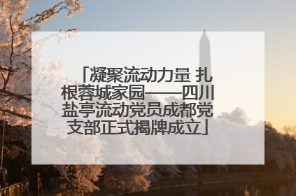 凝聚流动力量 扎根蓉城家园——四川盐亭流动党员成都党支部正式揭牌成立