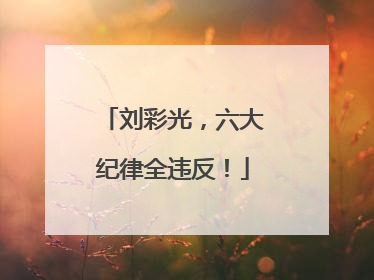 刘彩光，六大纪律全违反！