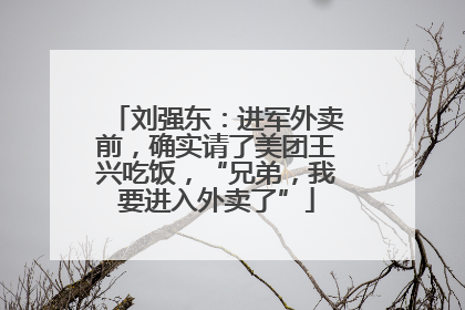 刘强东：进军外卖前，确实请了美团王兴吃饭，“兄弟，我要进入外卖了”
