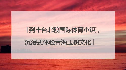 到丰台北粮国际体育小镇，沉浸式体验青海玉树文化