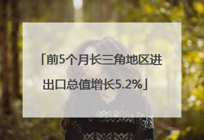 前5个月长三角地区进出口总值增长5.2%