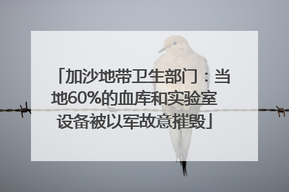 加沙地带卫生部门：当地60%的血库和实验室设备被以军故意摧毁