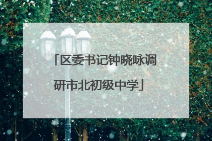 区委书记钟晓咏调研市北初级中学