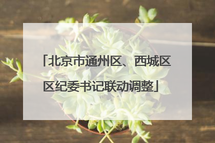 北京市通州区、西城区区纪委书记联动调整