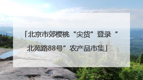 北京市郊樱桃“尖货”登录“北苑路88号”农产品市集