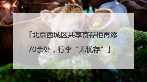 北京西城区共享寄存柜再添70余处，行李“无忧存”