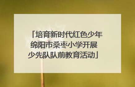 培育新时代红色少年 绵阳市桑枣小学开展少先队队前教育活动