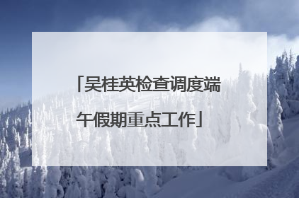 吴桂英检查调度端午假期重点工作