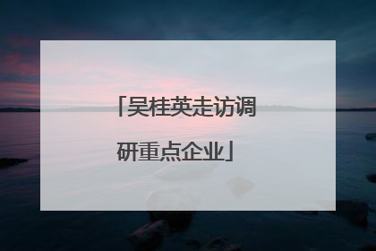 吴桂英走访调研重点企业