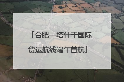 合肥—塔什干国际货运航线端午首航