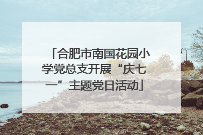 合肥市南国花园小学党总支开展“庆七一”主题党日活动