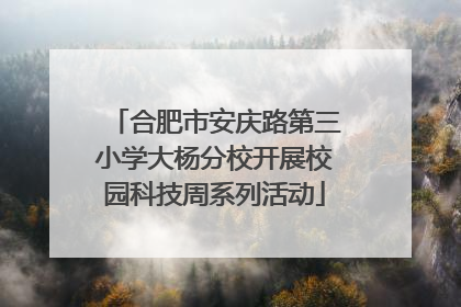 合肥市安庆路第三小学大杨分校开展校园科技周系列活动