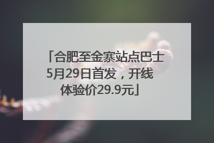 合肥至金寨站点巴士5月29日首发，开线体验价29.9元