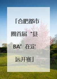 合肥都市圈首届“县BA”在定远开赛