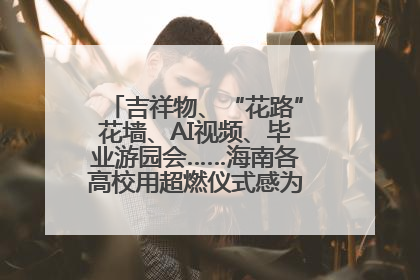 吉祥物、“花路”花墙、AI视频、毕业游园会……海南各高校用超燃仪式感为学子青春“存档”