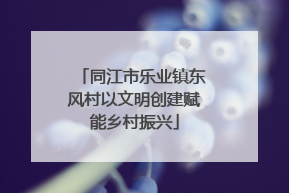 同江市乐业镇东风村以文明创建赋能乡村振兴