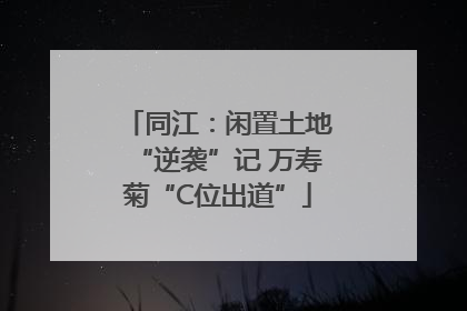 同江：闲置土地“逆袭”记 万寿菊“C位出道”