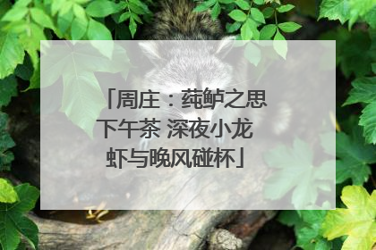 周庄：莼鲈之思下午茶 深夜小龙虾与晚风碰杯