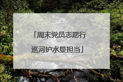 周末党员志愿行 巡河护水显担当