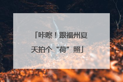 咔嚓！跟福州夏天拍个“荷”照