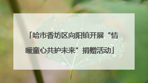 哈市香坊区向阳镇开展“情暖童心共护未来”捐赠活动
